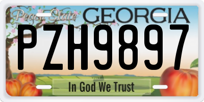 GA license plate PZH9897