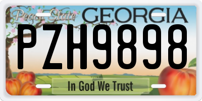 GA license plate PZH9898