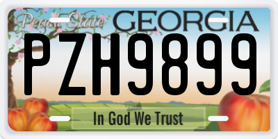 GA license plate PZH9899