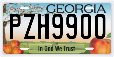GA license plate PZH9900