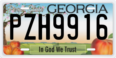 GA license plate PZH9916