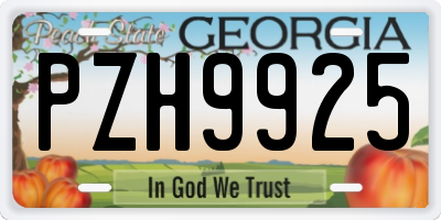 GA license plate PZH9925