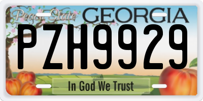 GA license plate PZH9929
