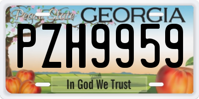 GA license plate PZH9959