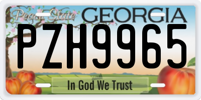 GA license plate PZH9965