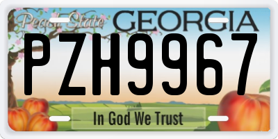 GA license plate PZH9967
