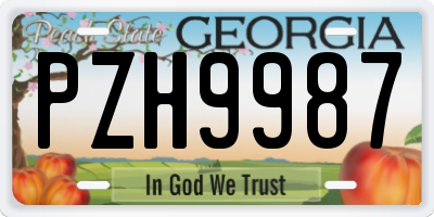 GA license plate PZH9987