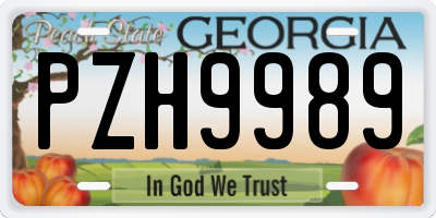 GA license plate PZH9989