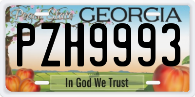 GA license plate PZH9993