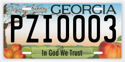 GA license plate PZI0003