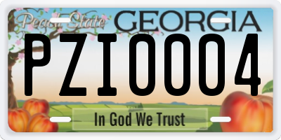 GA license plate PZI0004