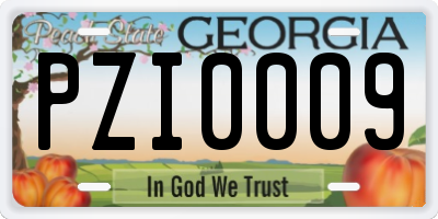 GA license plate PZI0009