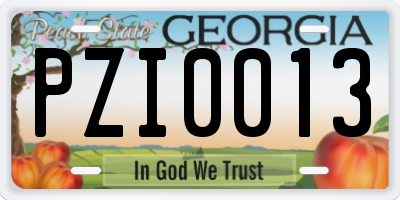 GA license plate PZI0013