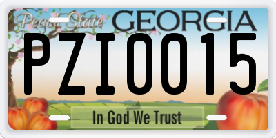 GA license plate PZI0015