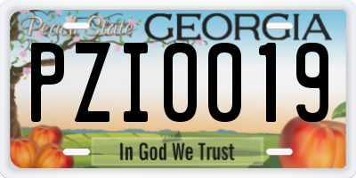 GA license plate PZI0019