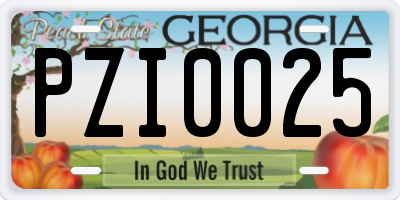 GA license plate PZI0025
