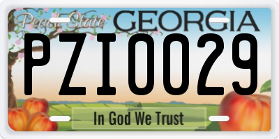 GA license plate PZI0029