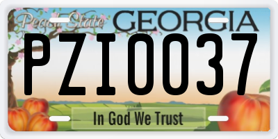 GA license plate PZI0037