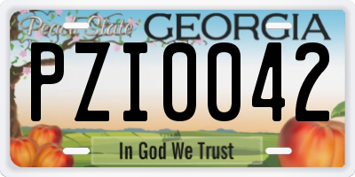 GA license plate PZI0042