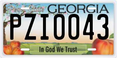 GA license plate PZI0043