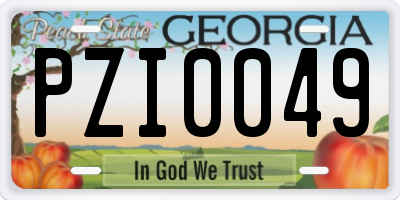 GA license plate PZI0049