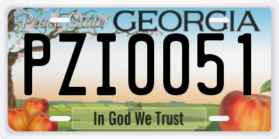GA license plate PZI0051