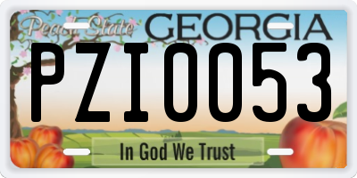 GA license plate PZI0053