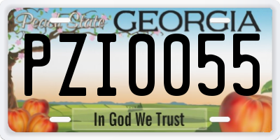 GA license plate PZI0055