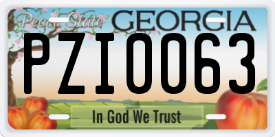 GA license plate PZI0063