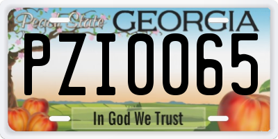 GA license plate PZI0065