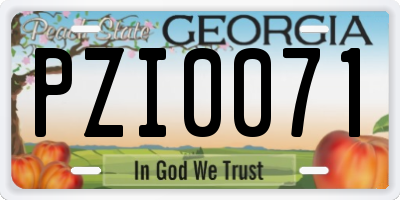 GA license plate PZI0071