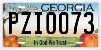 GA license plate PZI0073