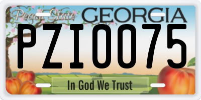 GA license plate PZI0075