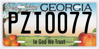 GA license plate PZI0077