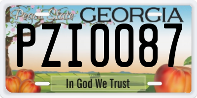 GA license plate PZI0087