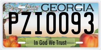 GA license plate PZI0093
