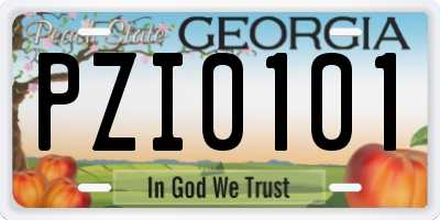 GA license plate PZI0101