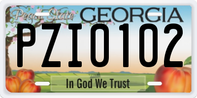 GA license plate PZI0102