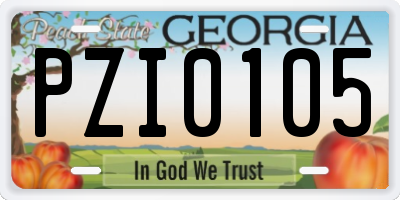 GA license plate PZI0105