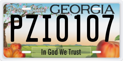 GA license plate PZI0107