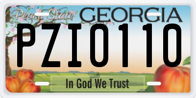 GA license plate PZI0110