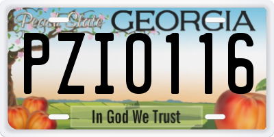GA license plate PZI0116