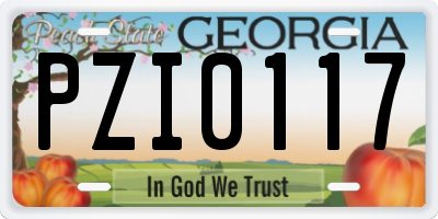 GA license plate PZI0117