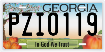 GA license plate PZI0119