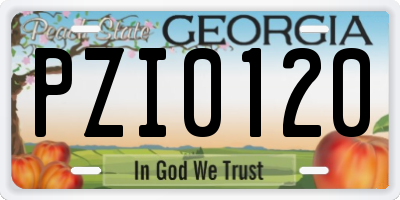GA license plate PZI0120