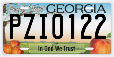 GA license plate PZI0122