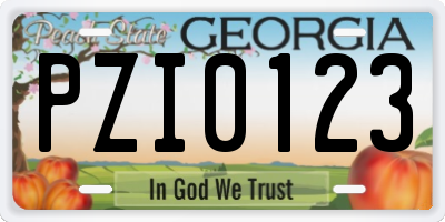 GA license plate PZI0123