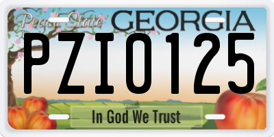GA license plate PZI0125