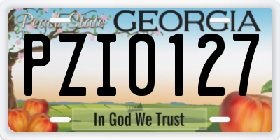 GA license plate PZI0127