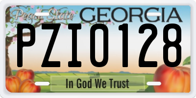 GA license plate PZI0128
